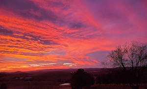 Shenandoah Valley, VA